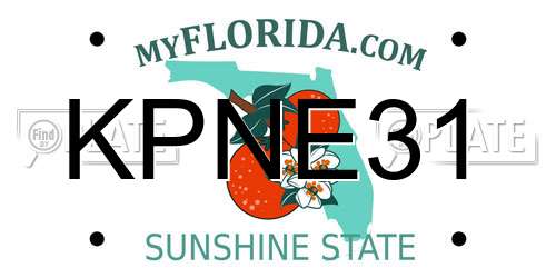 KPNE31 Florida License Plate
