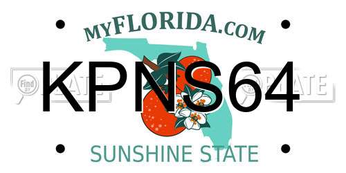 KPNS64 Florida License Plate