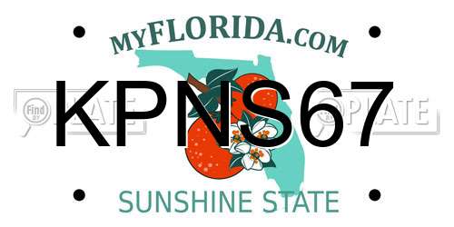 KPNS67 Florida License Plate