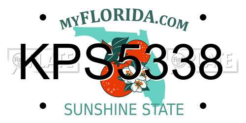 KPS5338 Florida License Plate