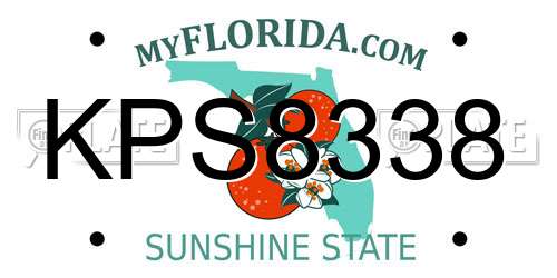 KPS8338 Florida License Plate