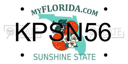 KPSN56 Florida License Plate