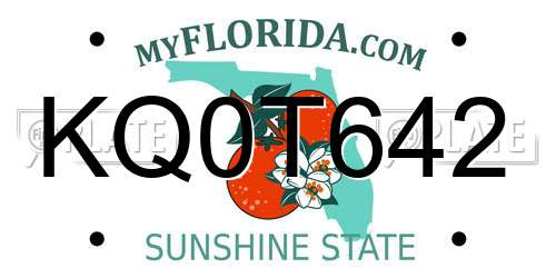 KQ0T642 Florida License Plate