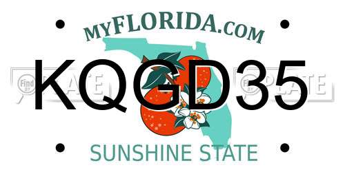 KQGD35 Florida License Plate