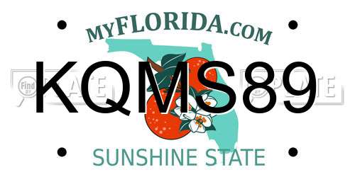 KQMS89 Florida License Plate