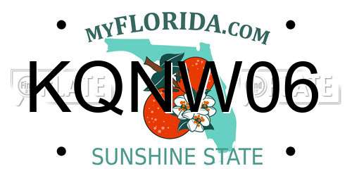 KQNW06 Florida License Plate