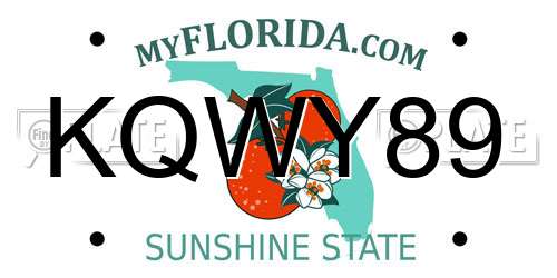 KQWY89 Florida License Plate