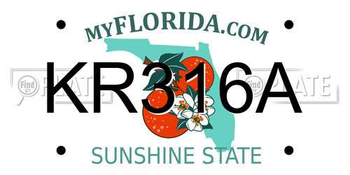 KR316A Florida License Plate