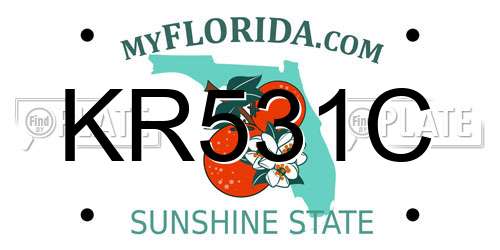 KR531C Florida License Plate