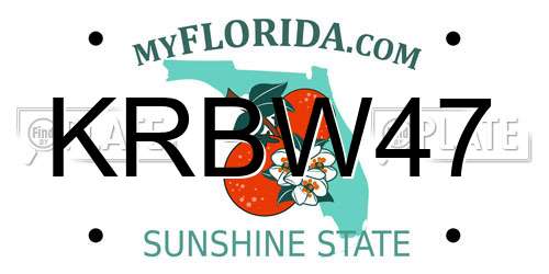 KRBW47 Florida License Plate