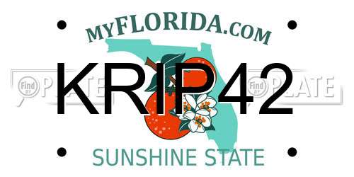 KRIP42 Florida License Plate
