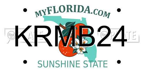 KRMB24 Florida License Plate