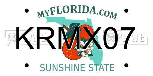KRMX07 Florida License Plate