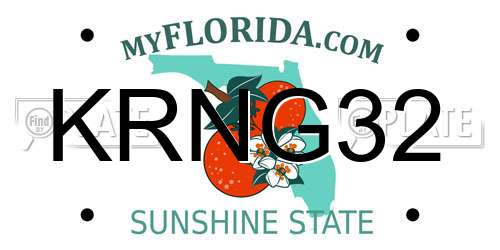 KRNG32 Florida License Plate
