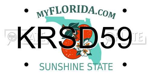 KRSD59 Florida License Plate