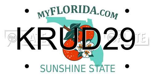 KRUD29 Florida License Plate