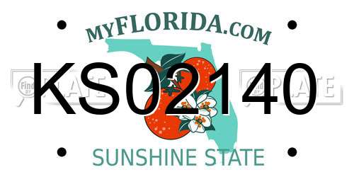 KS02140 Florida License Plate