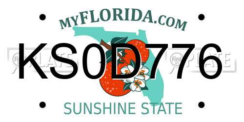 KS0D776 Florida License Plate