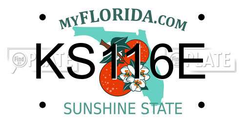 KS116E Florida License Plate