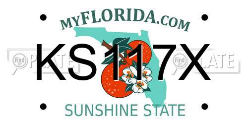 KS117X Florida License Plate