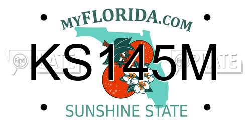 KS145M Florida License Plate
