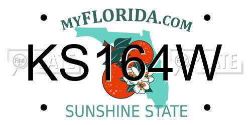 KS164W Florida License Plate