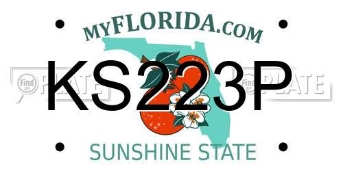 KS223P Florida License Plate