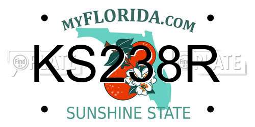 KS238R Florida License Plate