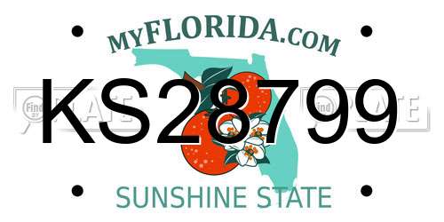 KS28799 Florida License Plate