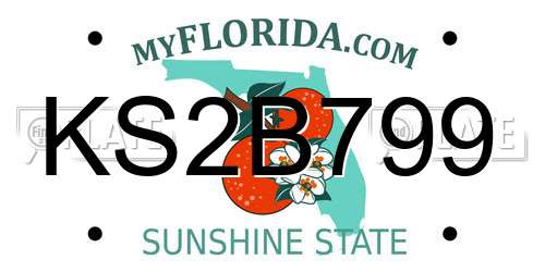 KS2B799 Florida License Plate