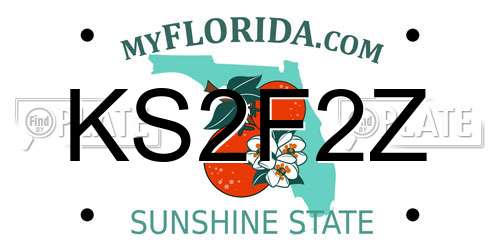 KS2F2Z Florida License Plate