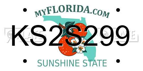 KS2S299 Florida License Plate