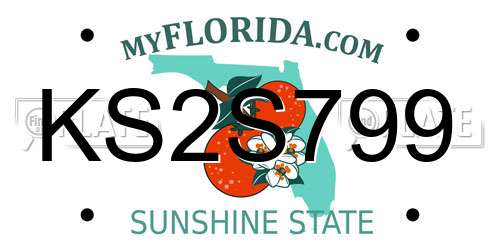 KS2S799 Florida License Plate