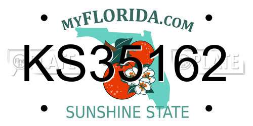 KS35162 Florida License Plate