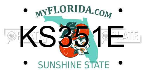 KS351E Florida License Plate