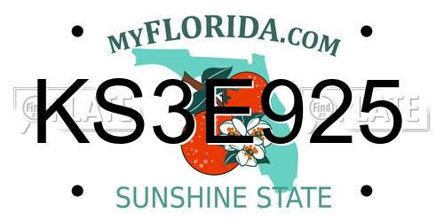 KS3E925 Florida License Plate