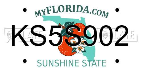 KS5S902 Florida License Plate