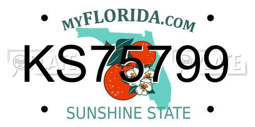 KS75799 Florida License Plate