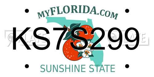 KS7S299 Florida License Plate