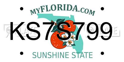 KS7S799 Florida License Plate