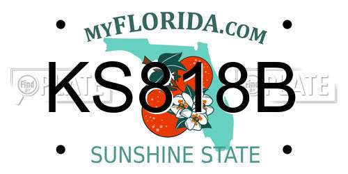 KS818B Florida License Plate