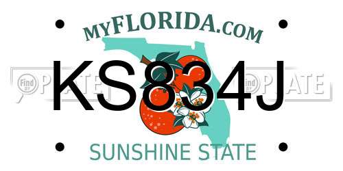 KS834J Florida License Plate