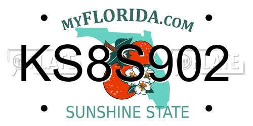 KS8S902 Florida License Plate