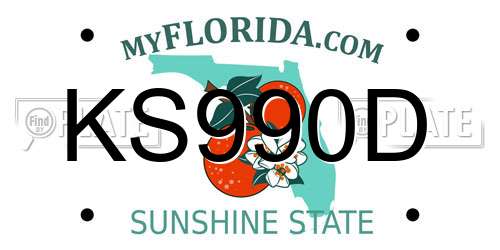 KS990D Florida License Plate