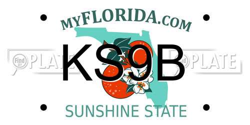 KS9B Florida License Plate