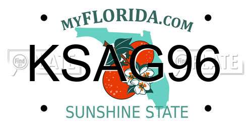 KSAG96 Florida License Plate