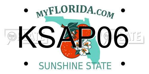 KSAP06 Florida License Plate
