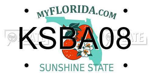 KSBA08 Florida License Plate