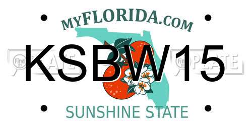 KSBW15 Florida License Plate