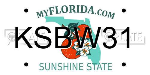 KSBW31 Florida License Plate